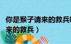 你是猴子请来的救兵吗视频片段（你是猴子请来的救兵）