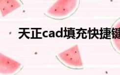 天正cad填充快捷键（cad填充快捷键）