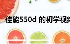 佳能550d 的初学视频（佳能550d 600d）