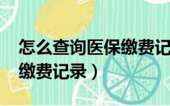 怎么查询医保缴费记录2022（怎么查询社保缴费记录）