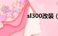 sl300改装（sl300拆机）