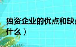 独资企业的优点和缺点（独资企业的优缺点是什么）