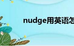 nudge用英语怎么说（nudge）