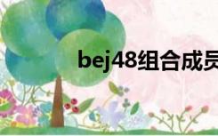 bej48组合成员（bej48成员）