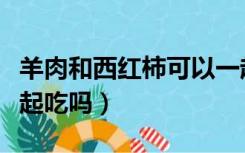 羊肉和西红柿可以一起吃（西红柿和羊肉能一起吃吗）