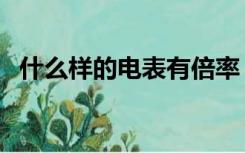 什么样的电表有倍率（什么是电表的倍率）