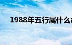 1988年五行属什么命（1989年属什么）