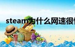 steam为什么网速很慢（为什么网速很慢）