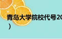 青岛大学院校代号2022（青岛大学院校代号）