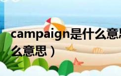 campaign是什么意思英语（campaign是什么意思）