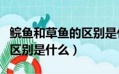 鲩鱼和草鱼的区别是什么意思（鲩鱼和草鱼的区别是什么）