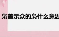 枭首示众的枭什么意思（枭首是什么意思呀）