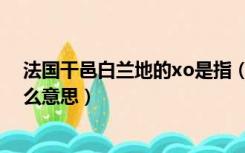 法国干邑白兰地的xo是指（法国干邑白兰地xo标志表示什么意思）