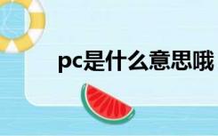 pc是什么意思哦（pc是什么意思）