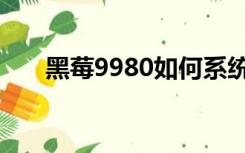 黑莓9980如何系统升级（黑莓9980）