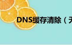 DNS缓存清除（无法清除dns缓存）