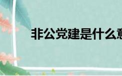 非公党建是什么意思?（非公党建）