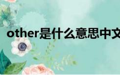 other是什么意思中文（other是什么意思）