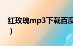 红玫瑰mp3下载百度网盘（红玫瑰mp3下载）