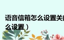 语音信箱怎么设置关闭苹果手机（语音信箱怎么设置）