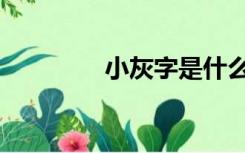 小灰字是什么意思（小灰）