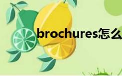 brochures怎么读（brochure）