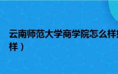 云南师范大学商学院怎么样好吗（云南师范大学商学院怎么样）