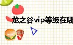 龙之谷vip等级在哪里看（龙之谷 vip）