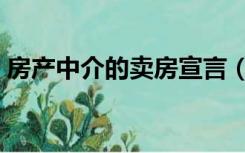 房产中介的卖房宣言（房产经纪人卖房宣言）