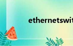 ethernetswitch是什么接口