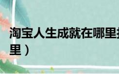 淘宝人生成就在哪里打开（淘宝人生成就在哪里）