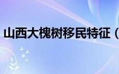 山西大槐树移民特征（山西大槐树移民原因）