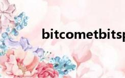 bitcometbitspirit安卓版下载