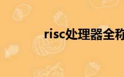 risc处理器全称（risc处理器）