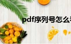 pdf序列号怎么看（pdf序列号）