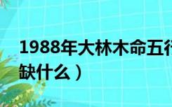 1988年大林木命五行缺什么（大林木命五行缺什么）