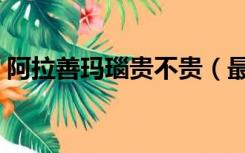 阿拉善玛瑙贵不贵（最贵的阿拉善奇石玛瑙）