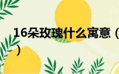 16朵玫瑰什么寓意（16朵玫瑰代表什么意思）