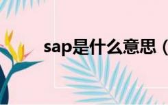 sap是什么意思（spa是什么意思）