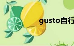 gusto自行车（gust）