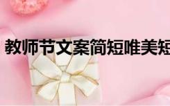 教师节文案简短唯美短句（教师节文案简短）