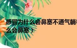 感冒为什么会鼻塞不通气躺着两个鼻孔相互堵塞（感冒为什么会鼻塞）