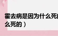 霍去病是因为什么死的（历史上的霍去病是怎么死的）