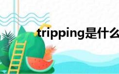 tripping是什么意思（trippin）