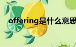 offering是什么意思（offer是什么意思）