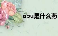 apu是什么药（apu是什么）