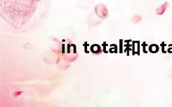 in total和totally（in total）