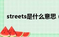 streets是什么意思（street是什么意思）