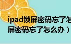 ipad锁屏密码忘了怎么办怎么解锁（ipad锁屏密码忘了怎么办）