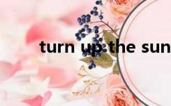 turn up the sunshine（turn up）